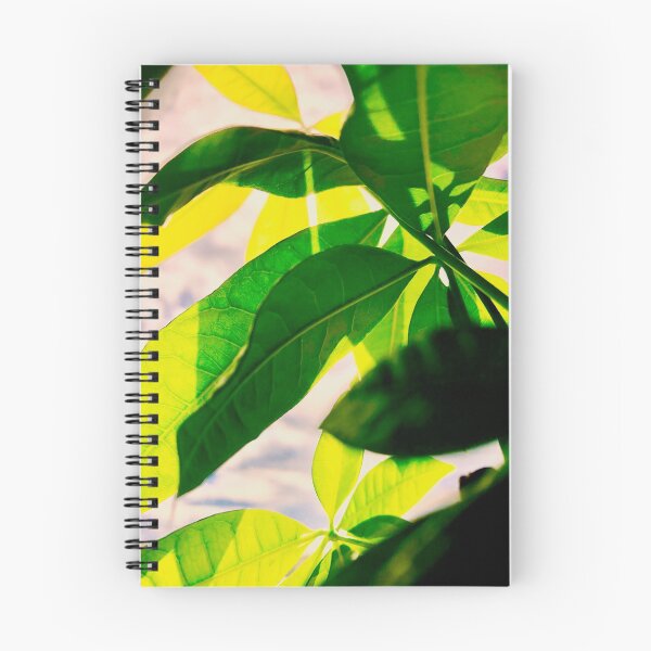Item preview, Vibrancy designed and sold by Tyler Hamilton.