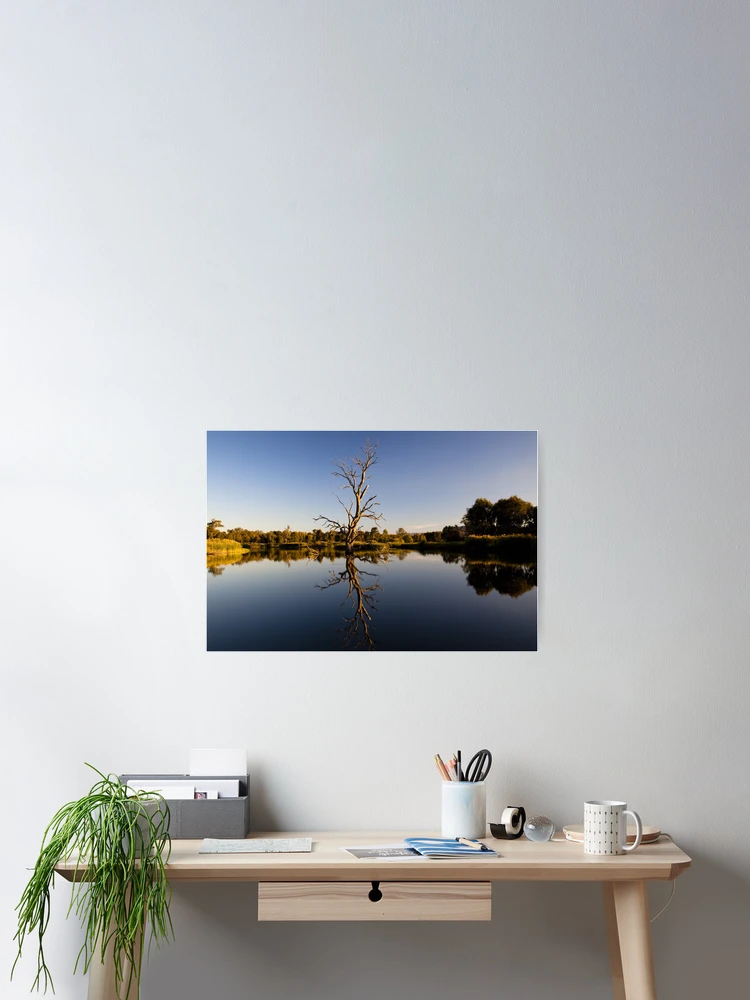 Thumbnail 2 of 3, Poster, Tree Reflection designed and sold by John Vandeven.