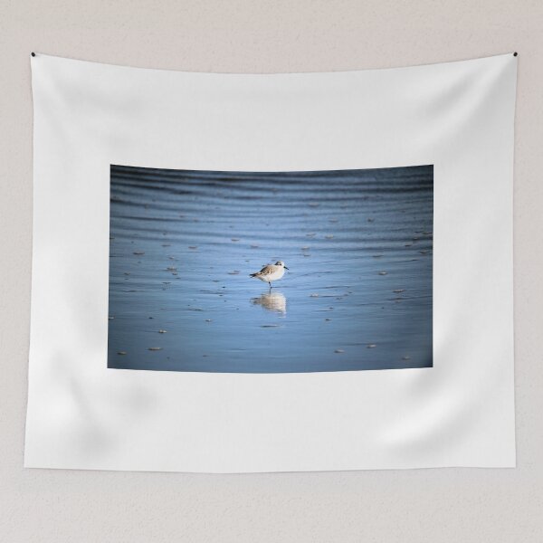 Item preview, Sanderling designed and sold by Cynthia48.