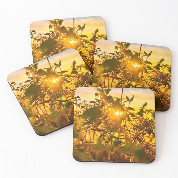 Item preview, Sunset Thyme designed and sold by Tyler Hamilton.