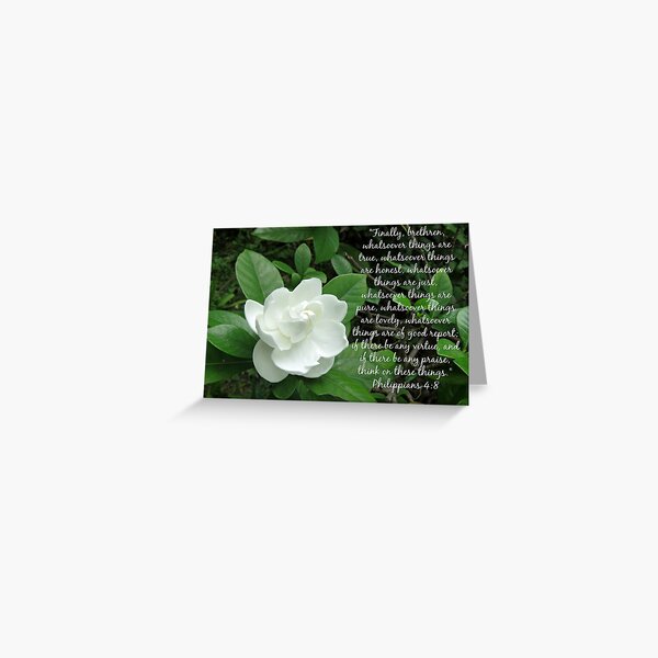 Philippians 4:8 with Gardenia Greeting Card