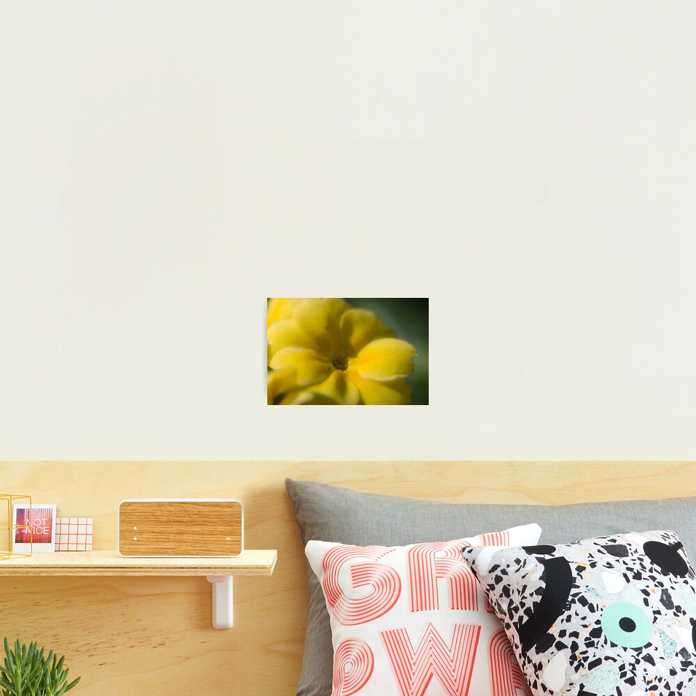 Vista previa del artículo con la obra «Lámina fotográfica», diseñado y vendido por DukePhoto.