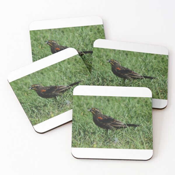 Item preview, Red Winged Blackbird, Kentucky designed and sold by garrgirl.