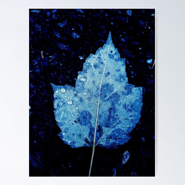 Item preview, blue leaf contrast designed and sold by Natalie Stark.