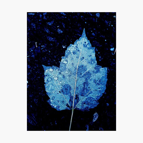 Item preview, blue leaf contrast designed and sold by Natalie Stark.