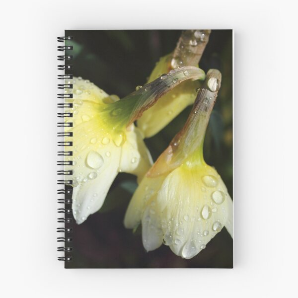 Item preview, raindrops on daffodils - natures tears designed and sold by Gaylene Norton.