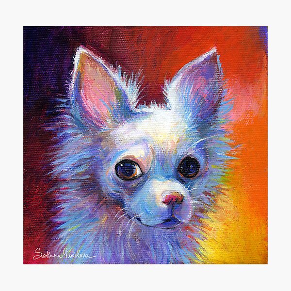 whimsical dog paintings