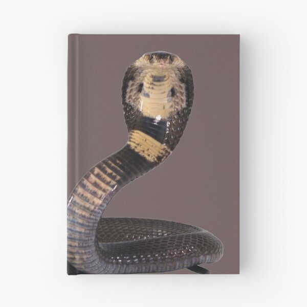 Item preview, Snake designed and sold by clinicstars.
