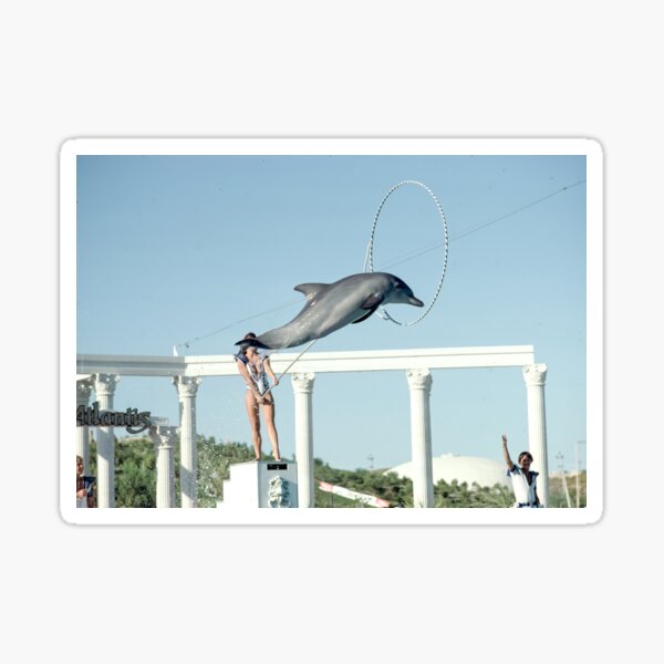 Dolphin show at Atlantis Marine Park, Yanchep, 1982, State Library of Western Australia Sticker