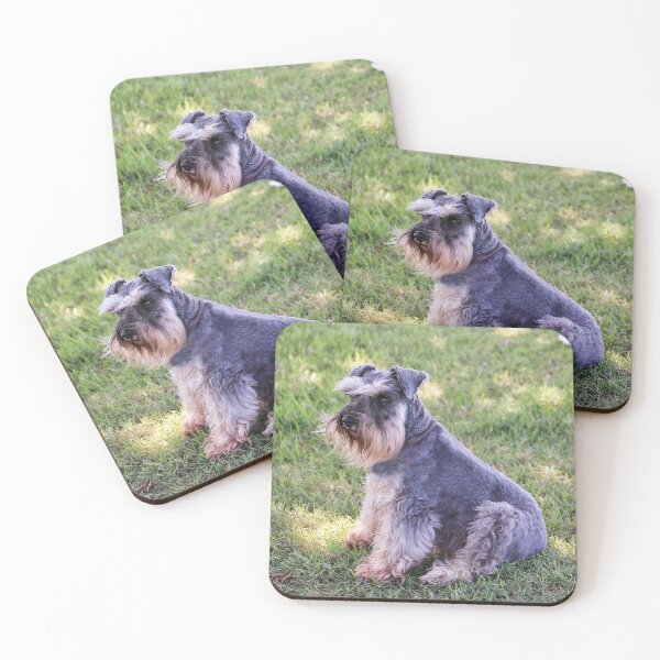 Item preview, Schnauzer sitting on the grass designed and sold by Ohlordi.