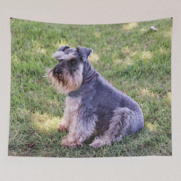 Item preview, Schnauzer sitting on the grass designed and sold by Ohlordi.