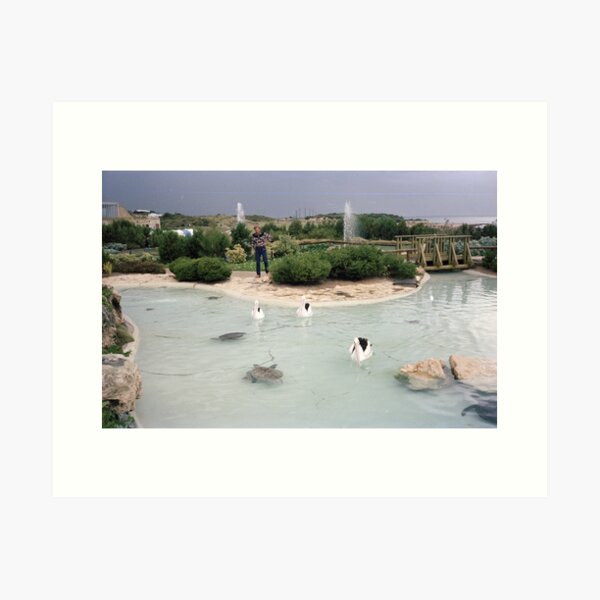 Atlantis Marine Park, Yanchep, 1985, State Library of Western Australia Art Print