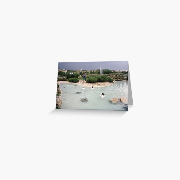 Atlantis Marine Park, Yanchep, 1985, State Library of Western Australia Greeting Card