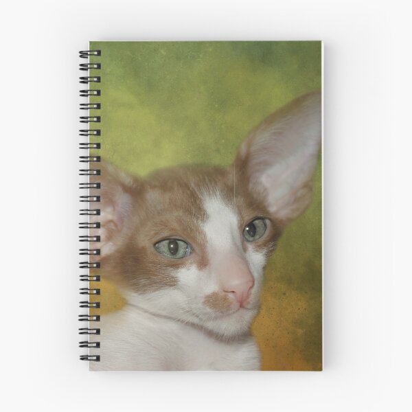 Item preview, Sweet Oriental Shorthair Kitten designed and sold by Elisabeth Lucas.