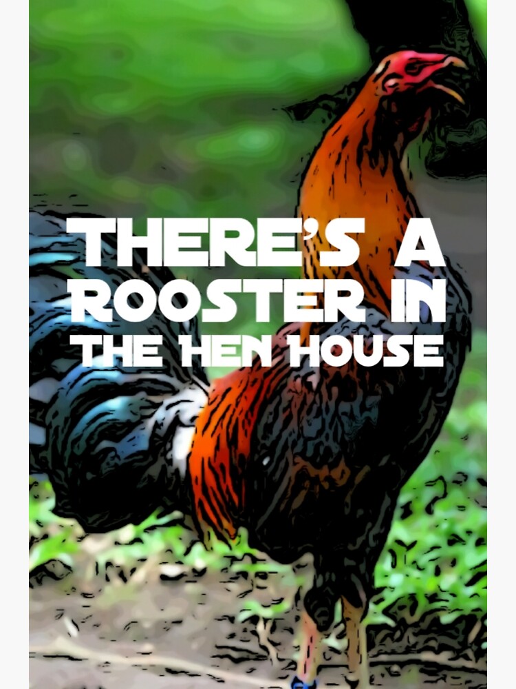 "Rooster in Hen House" Art Print by hardique77 Redbubble