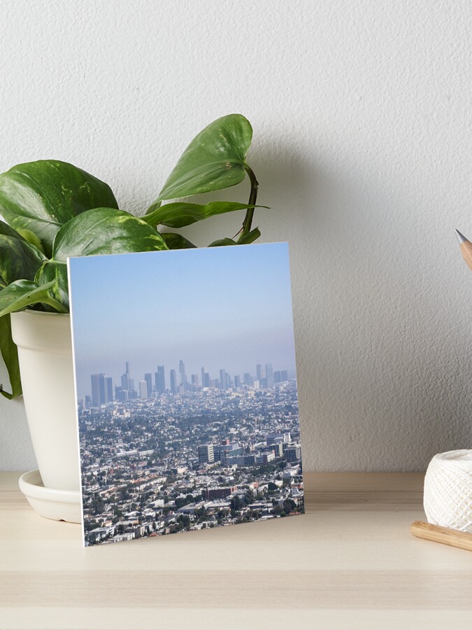 smog easy care slim fit