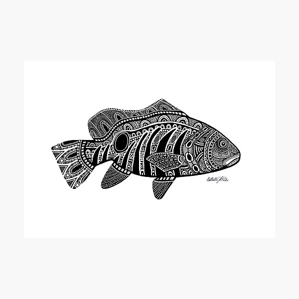 #491 - Spottail Beauty - Artist Nathalie Le Riche Photographic Print