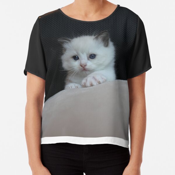 Ragdoll kitten Chiffon Top