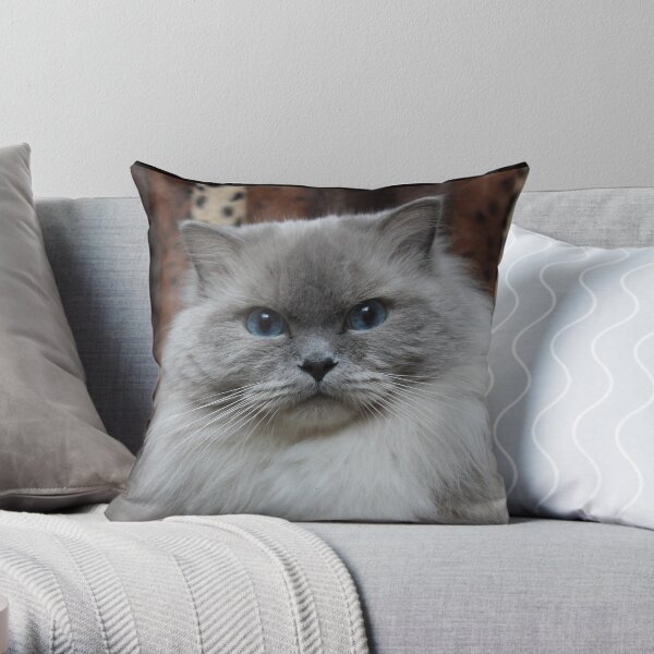 Ragdoll cat Throw Pillow