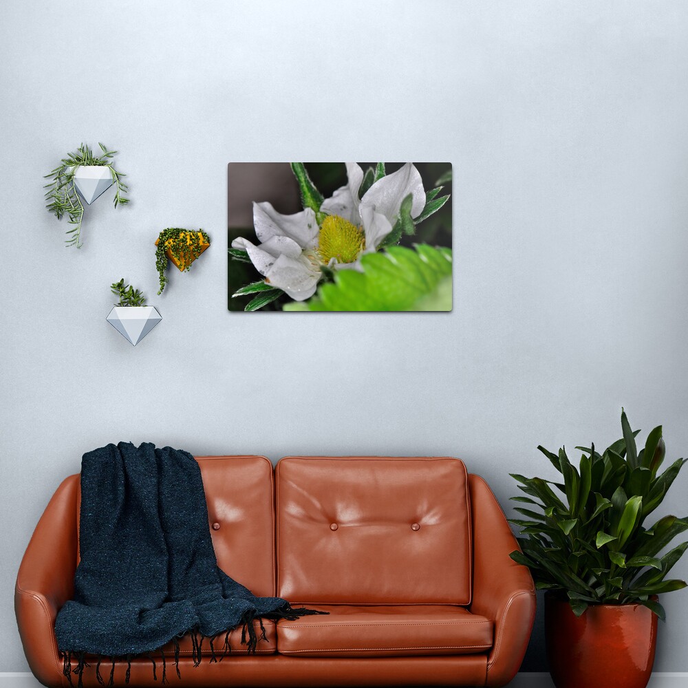 Strawberry Flower Metal Print