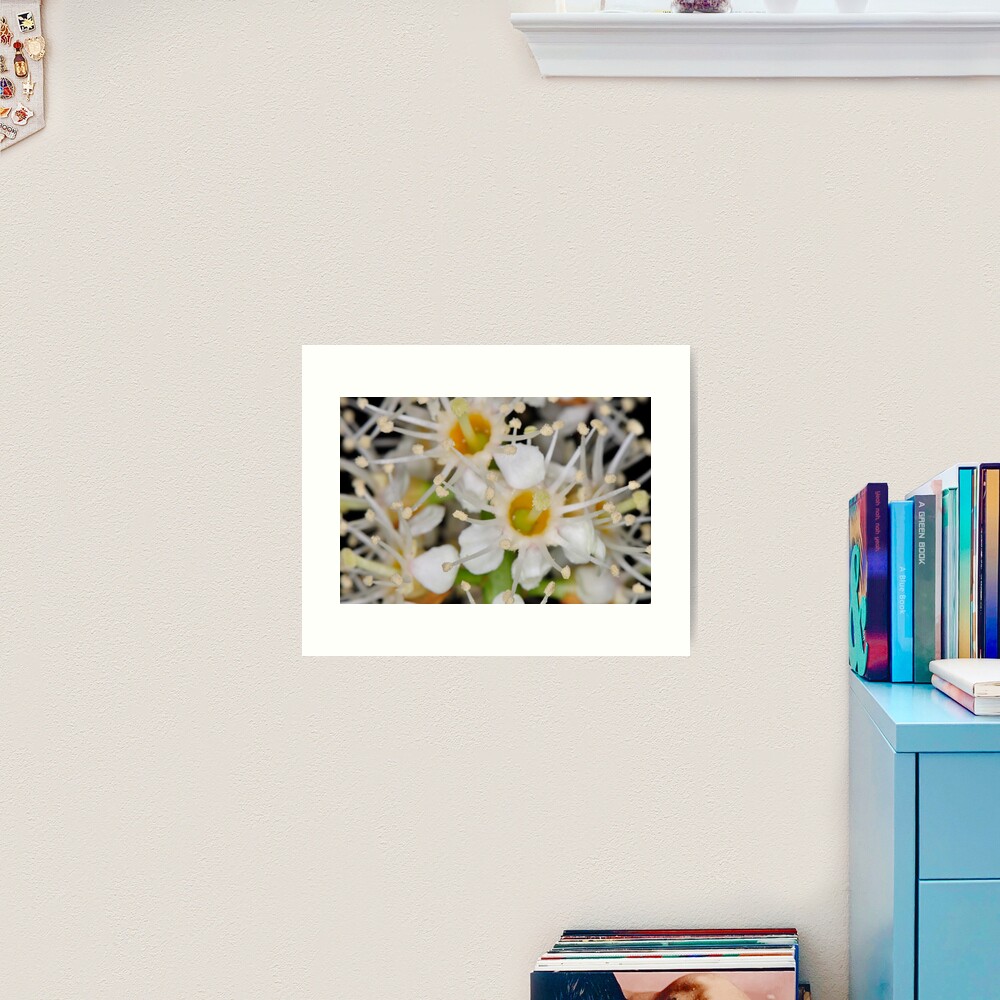 Star Burst Art Print