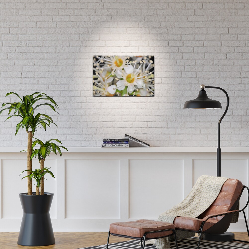 Star Burst Metal Print