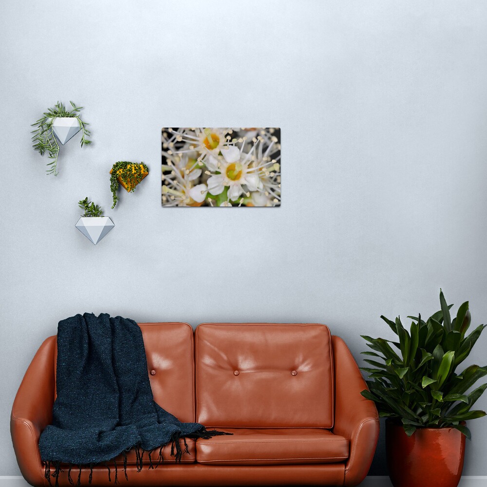 Star Burst Metal Print