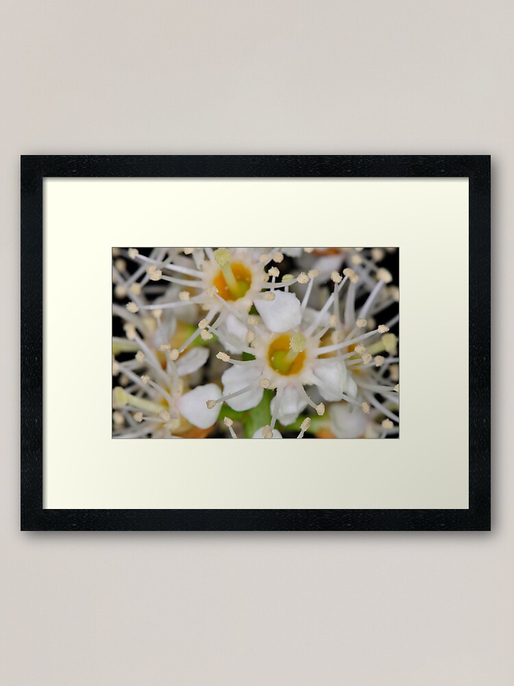 Alternate view of Star Burst Framed Art Print