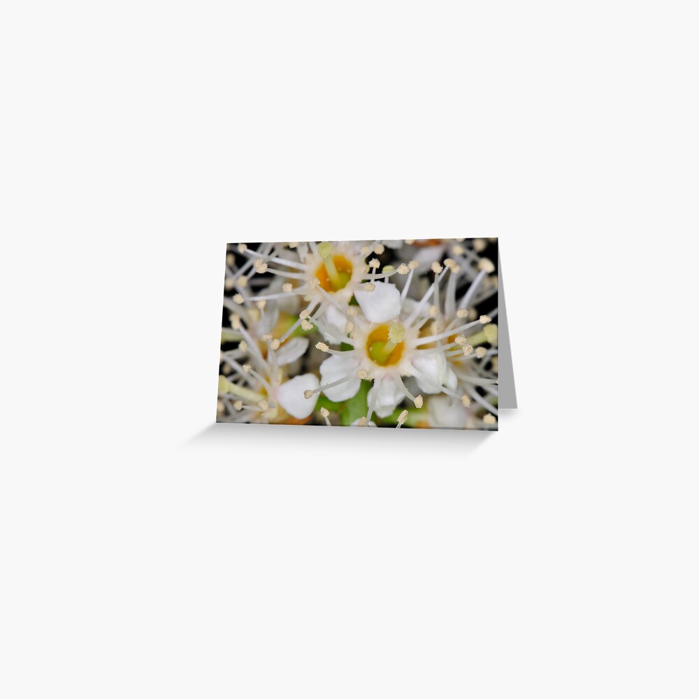 Item preview, Greeting Card designed and sold by pauleden.