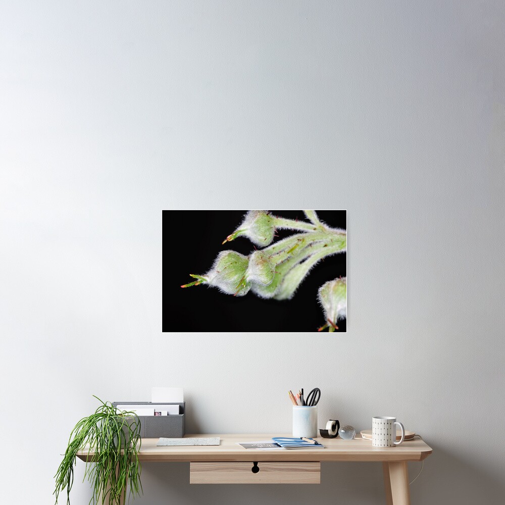 Item preview, Poster designed and sold by pauleden.