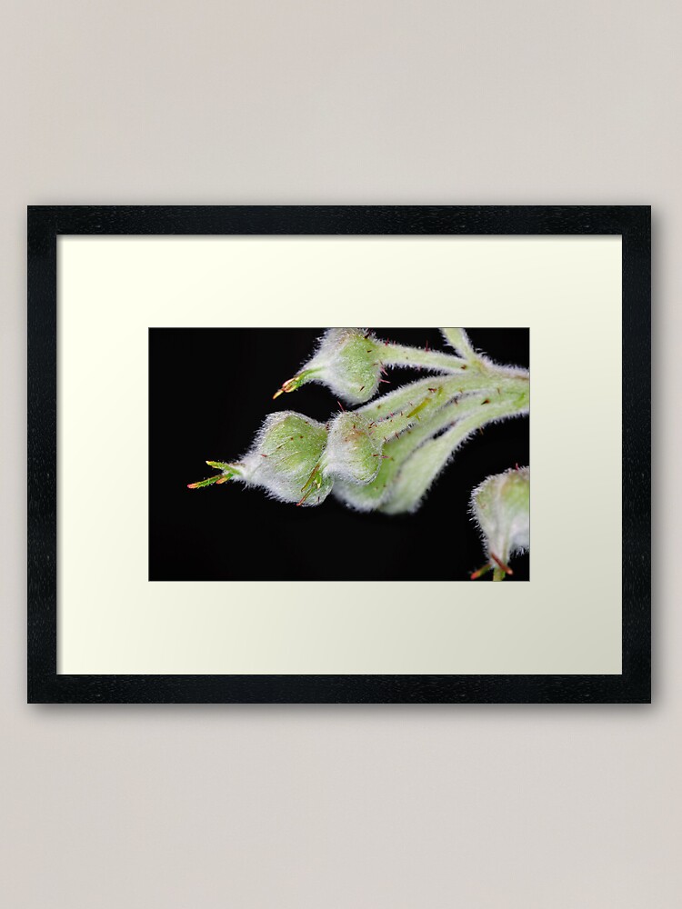 Alternate view of Raspberry Framed Art Print