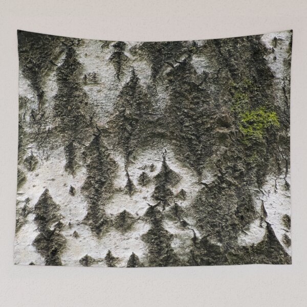 Item preview, Birch trunk designed and sold by carolmaia.