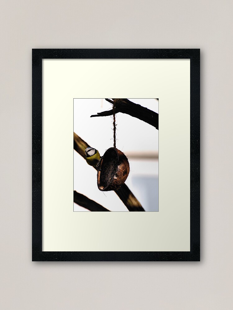 Thumbnail 2 of 7, Framed Art Print, Blue-tit designed and sold by Paul Eden.