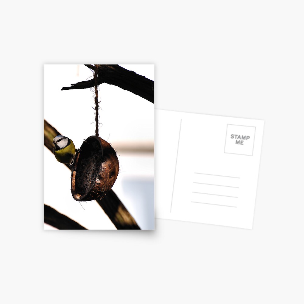 Item preview, Postcard designed and sold by pauleden.