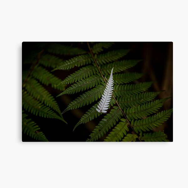 Item preview, Silver fern designed and sold by davidprentice.