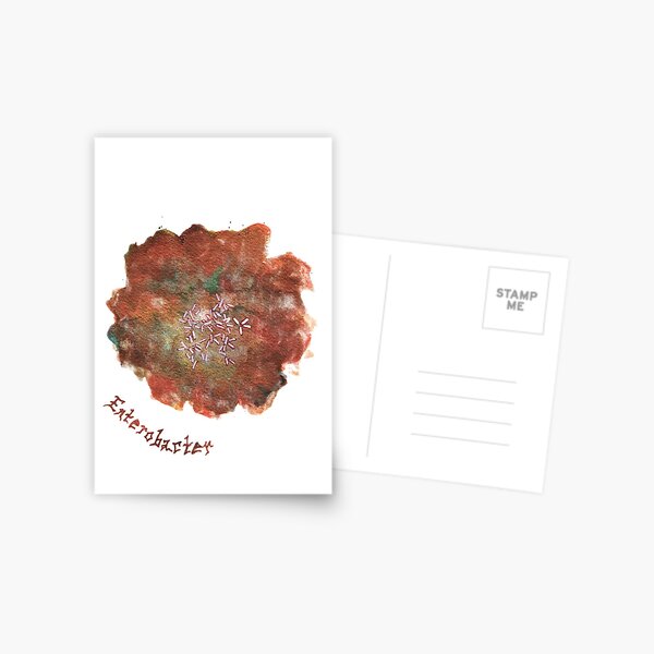 Enterobacter Greeting Card Postcard