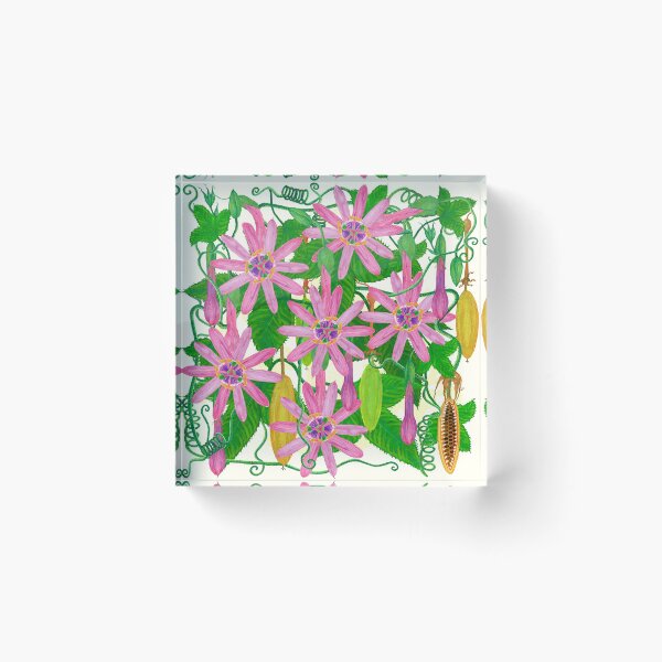 Item preview, Passiflora mollissima designed and sold by joancaronil.
