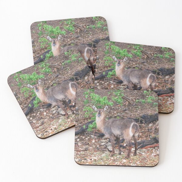 Item preview, Waterbuck, Chobe, Botswana, Africa designed and sold by FranWest.