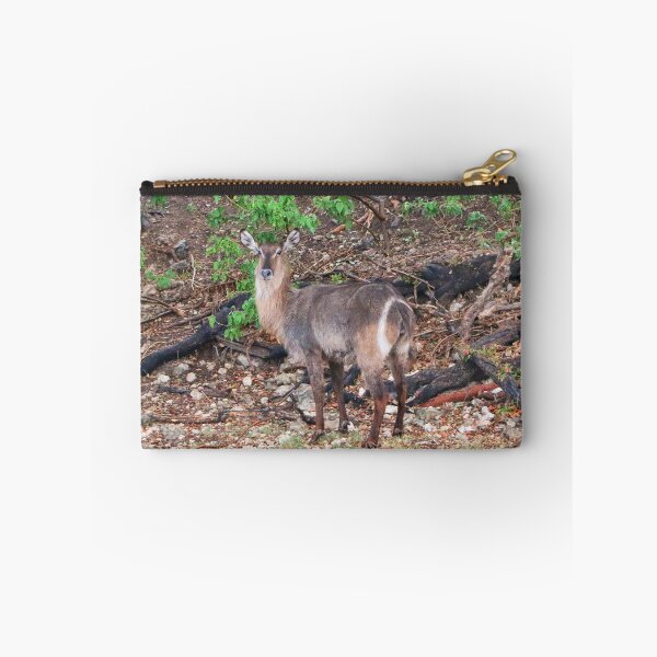 Item preview, Waterbuck, Chobe, Botswana, Africa designed and sold by FranWest.