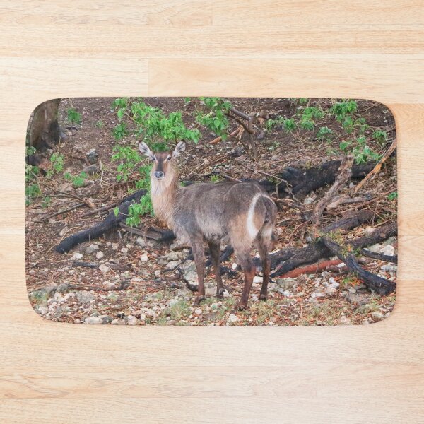 Item preview, Waterbuck, Chobe, Botswana, Africa designed and sold by FranWest.