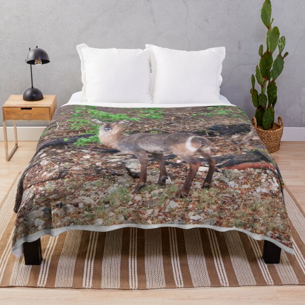 Item preview, Waterbuck, Chobe, Botswana, Africa designed and sold by FranWest.