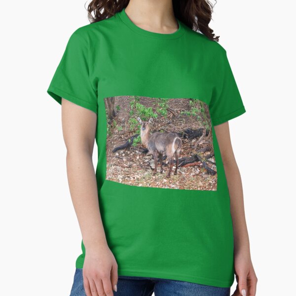 Vista previa del artículo con la obra «Waterbuck, Chobe, Botswana, África», diseñado y vendido por FranWest.
