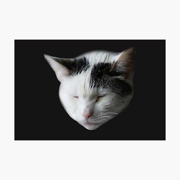 Item preview, Sleepy Cat designed and sold by CryingInACave.