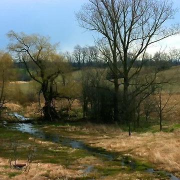 Artwork thumbnail, A Rivers Beginning................ by Larry Llewellyn