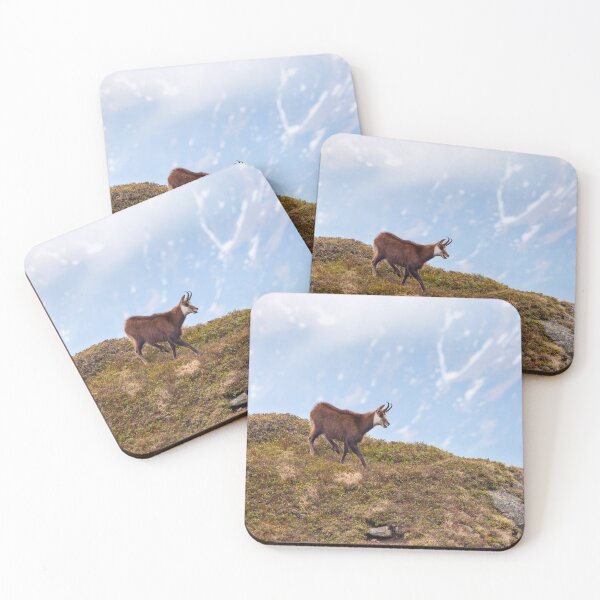 Item preview, Mountain Chamois in High Tatras National Park designed and sold by Lukasz Szczepanski.