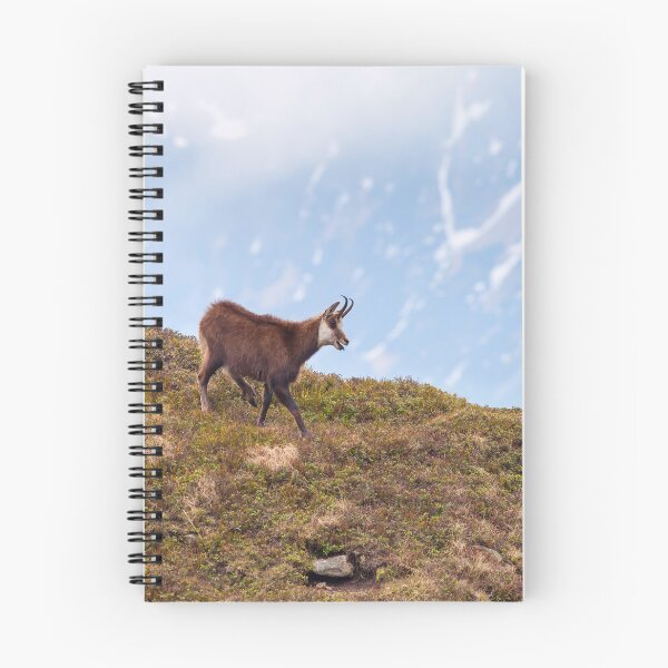 Item preview, Mountain Chamois in High Tatras National Park designed and sold by Lukasz Szczepanski.