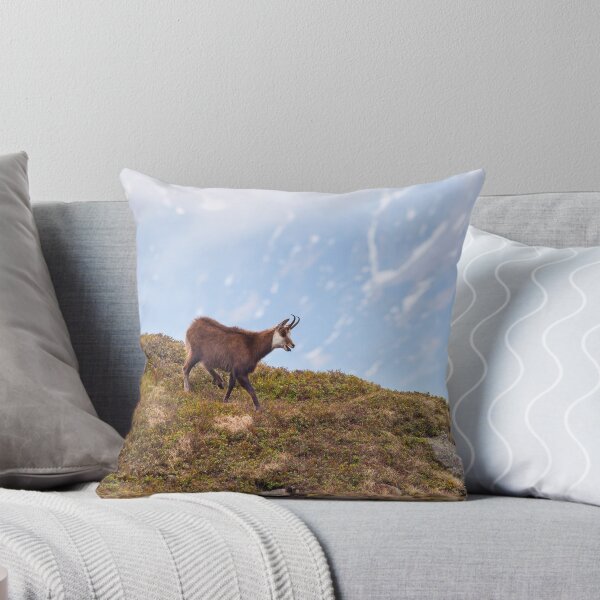 Item preview, Mountain Chamois in High Tatras National Park designed and sold by Lukasz Szczepanski.