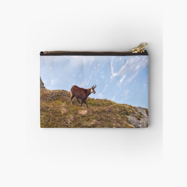 Item preview, Mountain Chamois in High Tatras National Park designed and sold by Lukasz Szczepanski.