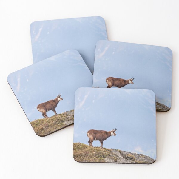 Item preview, Mountain Chamois in High Tatras National Park designed and sold by Lukasz Szczepanski.