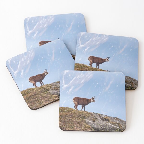 Item preview, Mountain Chamois in High Tatras National Park designed and sold by Lukasz Szczepanski.